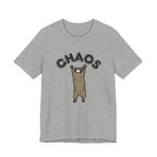 Chaos Raccoon
