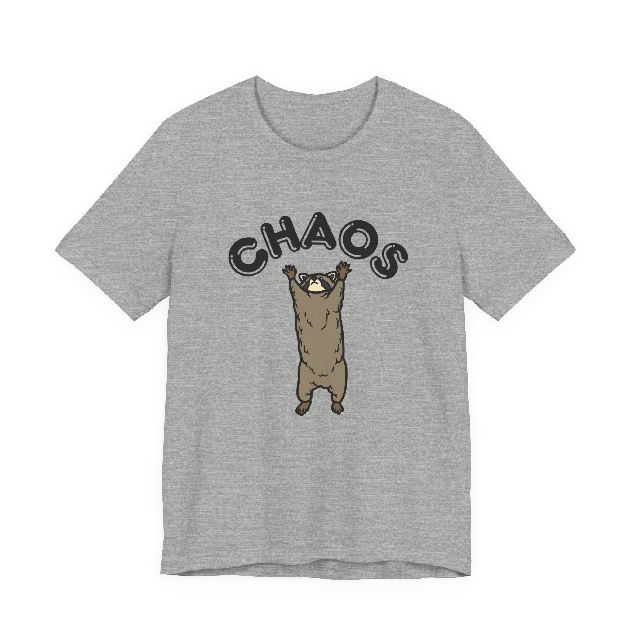 Chaos Raccoon